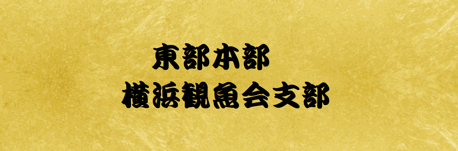 日本らんちう協会 東部本部 横浜観魚会支部 弐歳会 結果 | 日らん｜日本らんちう協会総本部 New Official Web Site |  Japan Rantiu Association (日本らんちゅう協会)