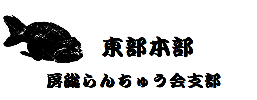 日本らんちう協会 東部本部 房総らんちゅう会 令和四年秋季品評大会 | 日らん｜日本らんちう協会総本部 New Official Web Site |  Japan Rantiu Association (日本らんちゅう協会)